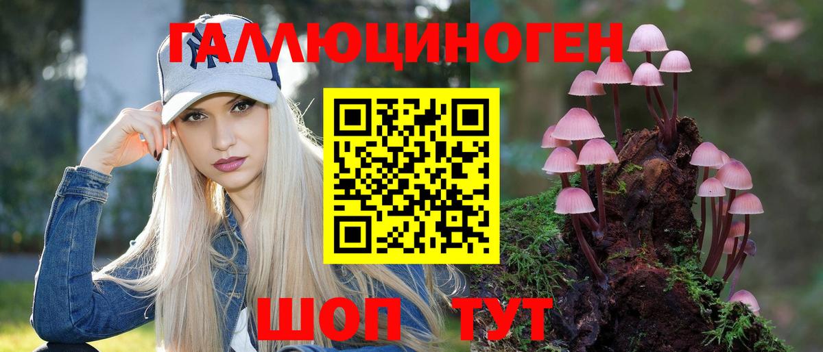 Архангельск  Псилоцибиновые грибы MAGIC MUSHROOMS  Вход с VPN 